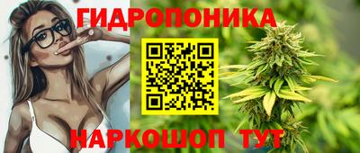 шишки Краснодар
