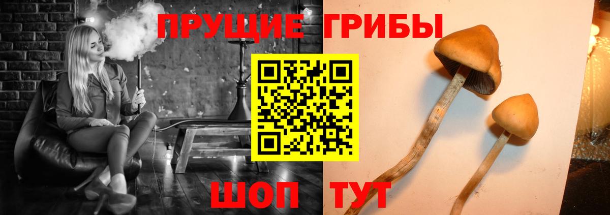 Клин  продажа наркотиков  Вход с VPN  Галлюциногенные грибы ЛСД  Псилоцибиновые грибы Psilocybine cubensis 